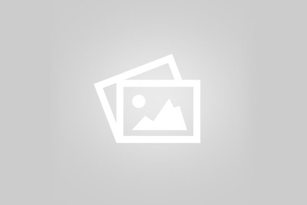 Post Graduate Diploma in Business Analytics
